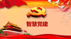 夯實基礎，推動智慧黨建融入基層黨組織建設